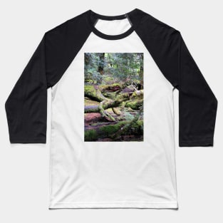 Enchanted Forest, Cradle Mountain, Tasmania, Australia Baseball T-Shirt